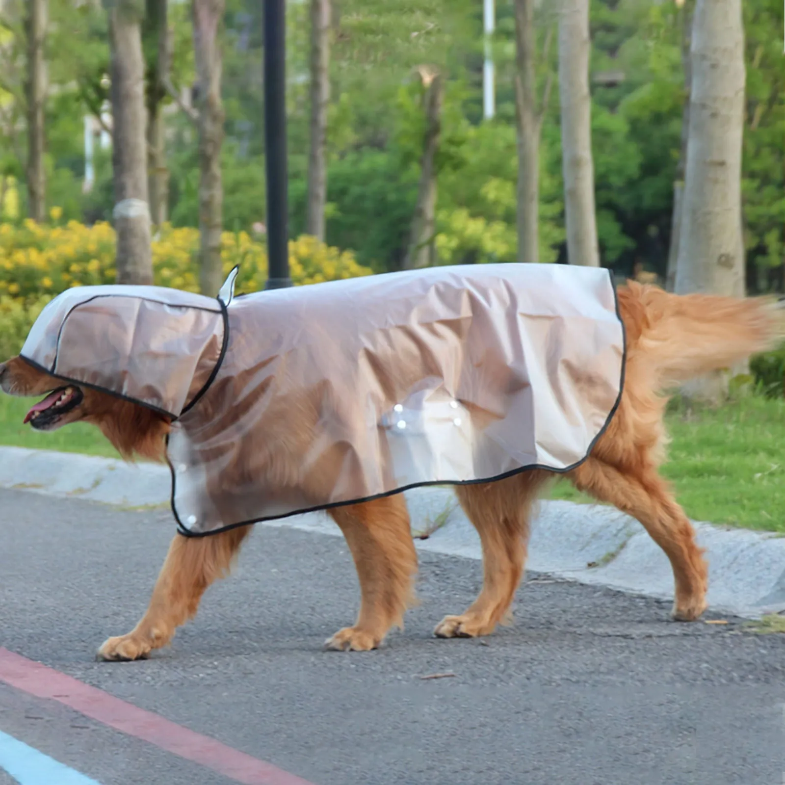 Pawfriends Transparent Raincoat [XXL]
