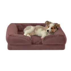 PAWS ASIA Manufacturers High Quality Luxury Orthopedic Washable Elevated Modern Dog Sofa Bed