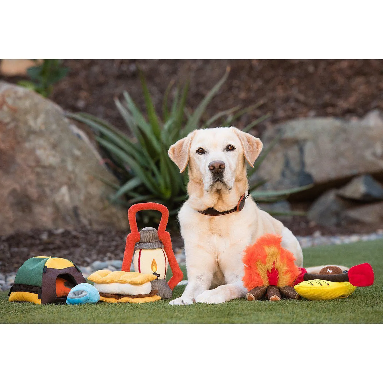 P.L.A.Y - Camp Corbin - Pack Leader Lantern Dog Toy