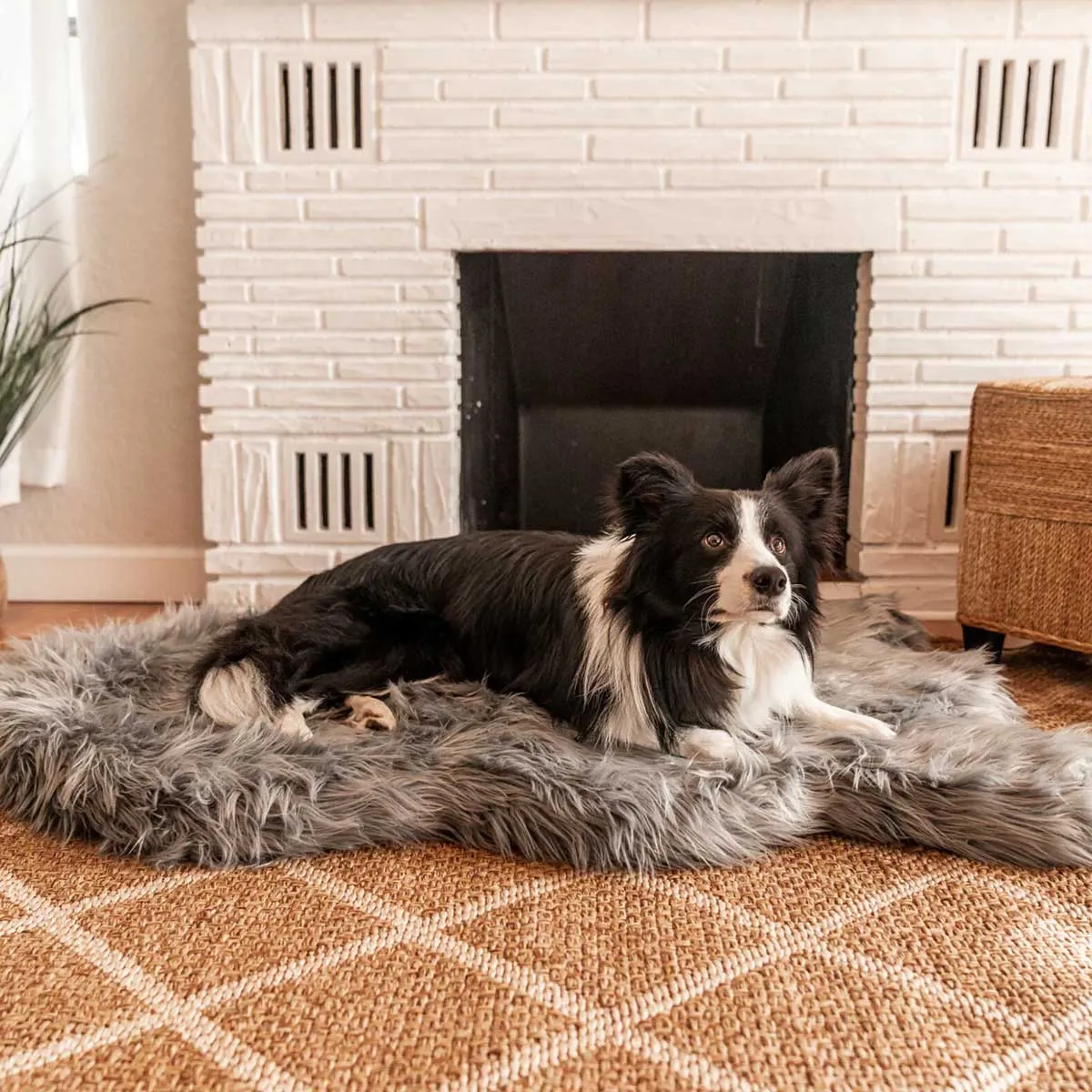 PupRug Faux Fur Curved Orthopedic Dog Bed - Charcoal Gray