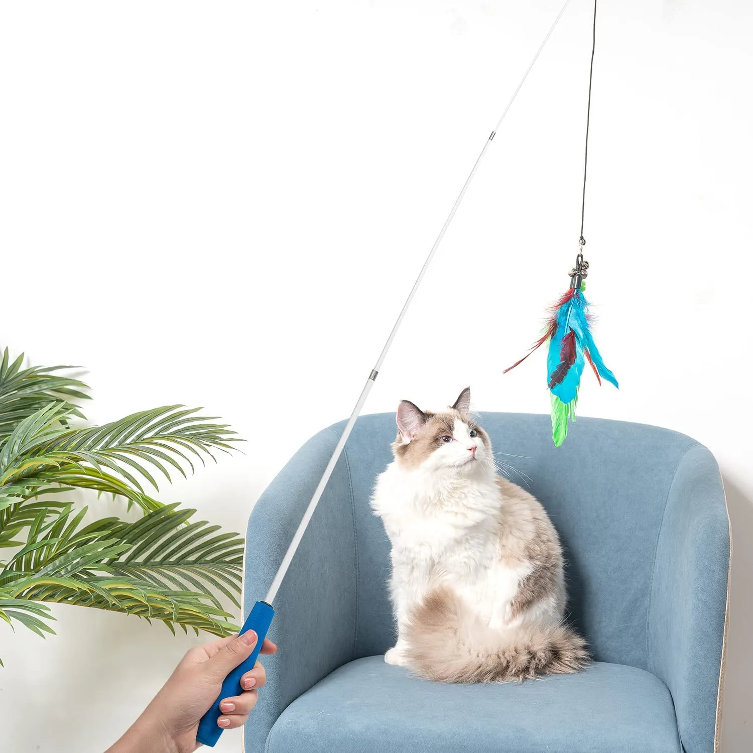 Retractable Feather Cat Wand Toy