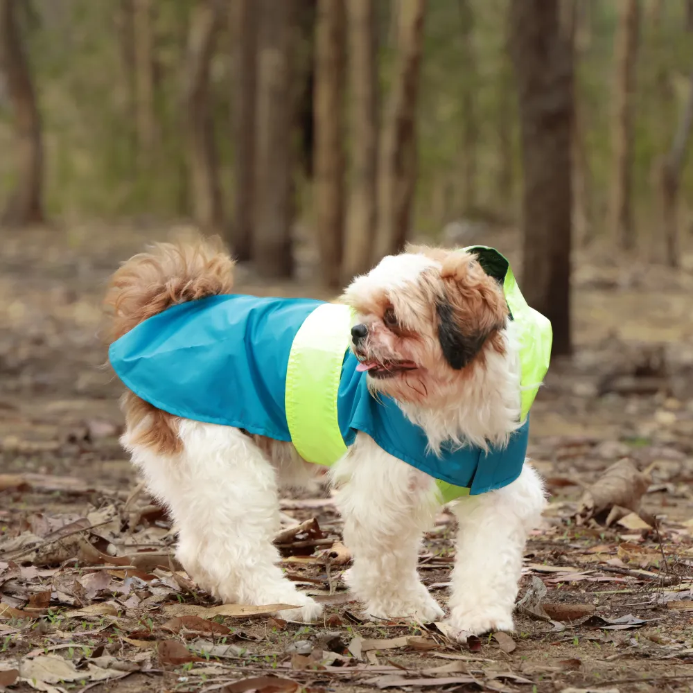 Splash Waterproof Dog Raincoat Neon-Blue