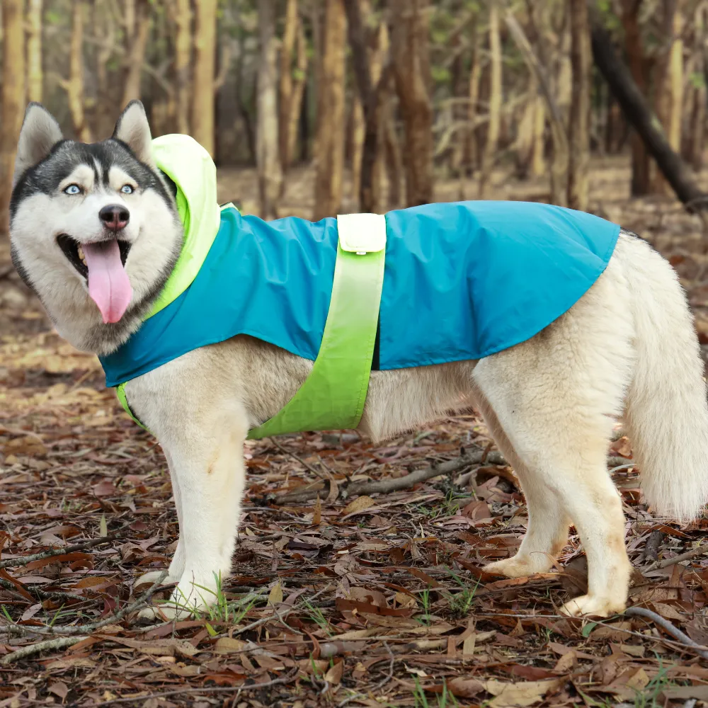 Splash Waterproof Dog Raincoat Neon-Blue