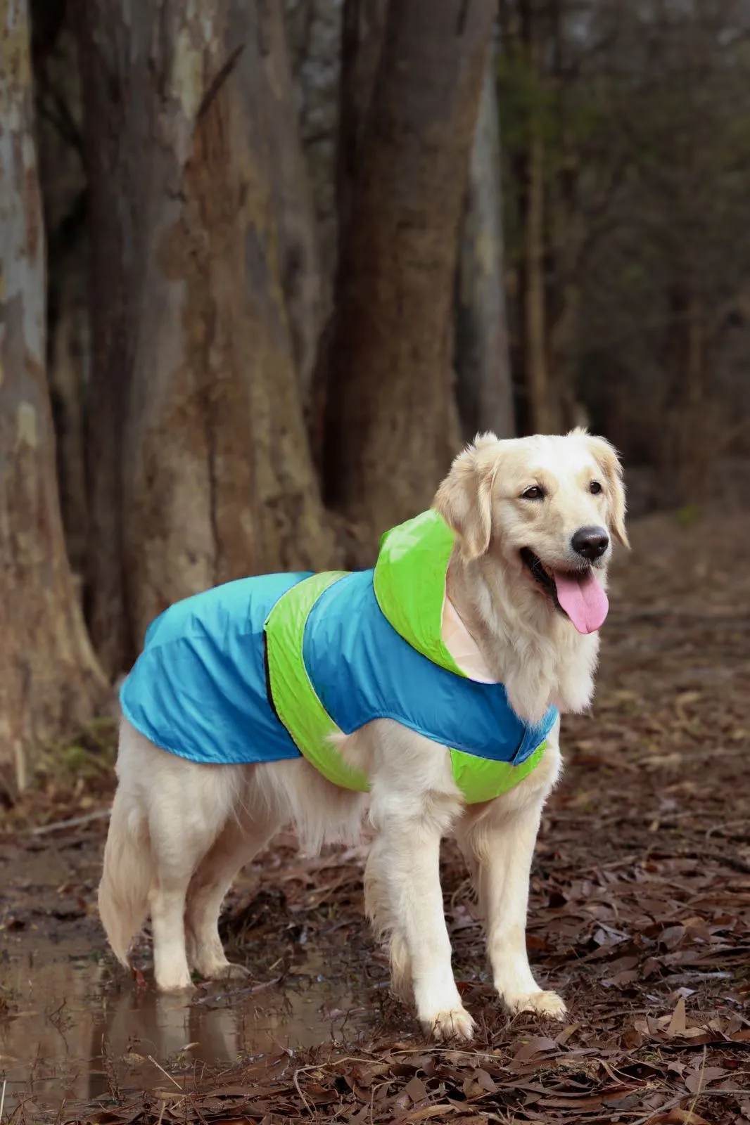 Splash Waterproof Dog Raincoat Neon-Blue