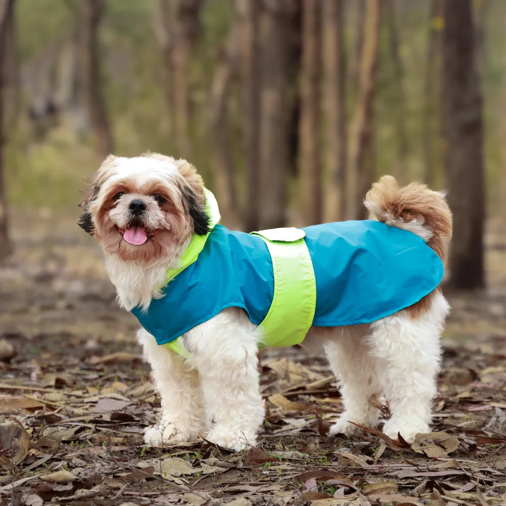 Splash Waterproof Dog Raincoat Neon-Blue