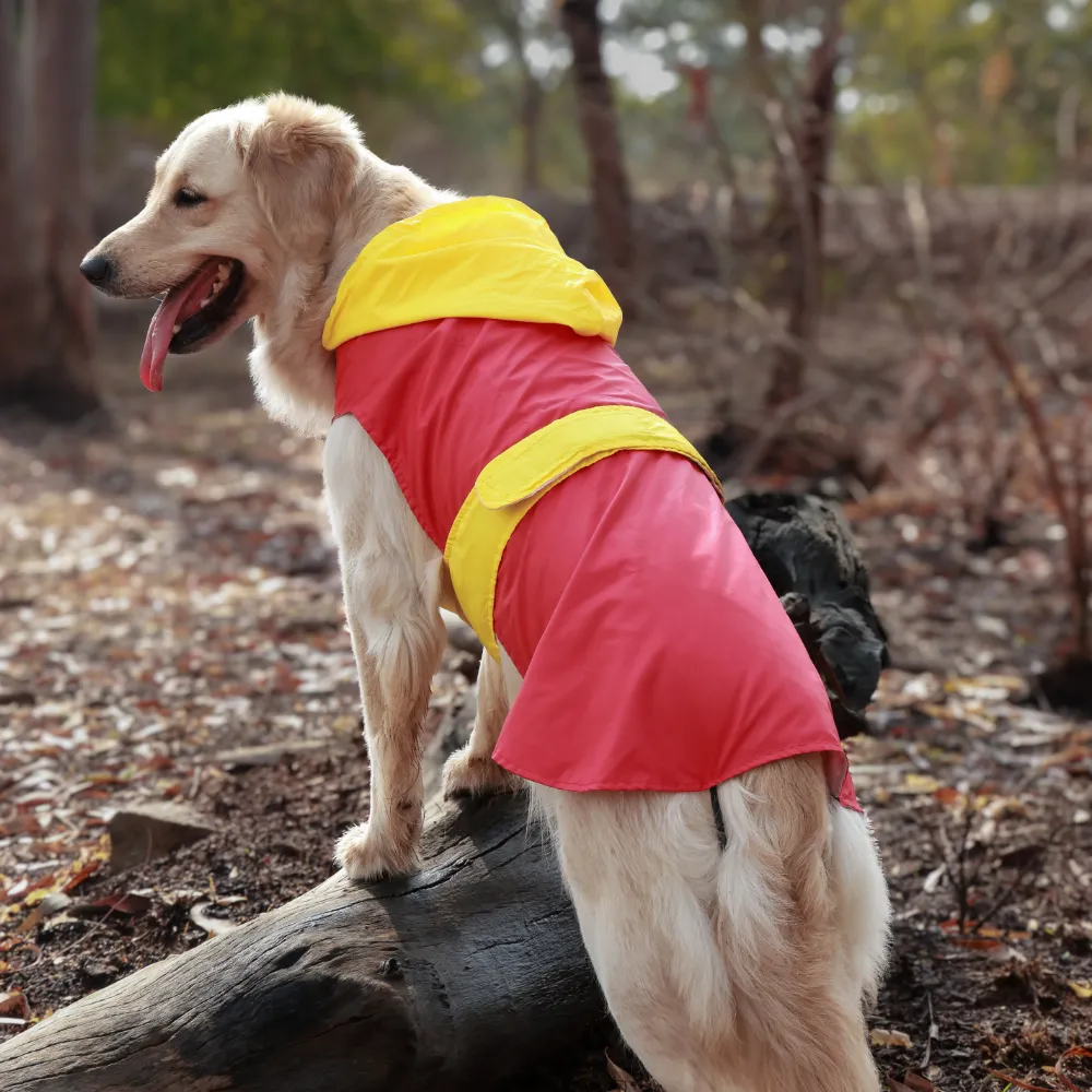 Splash Waterproof Dog Raincoat Red-Yellow