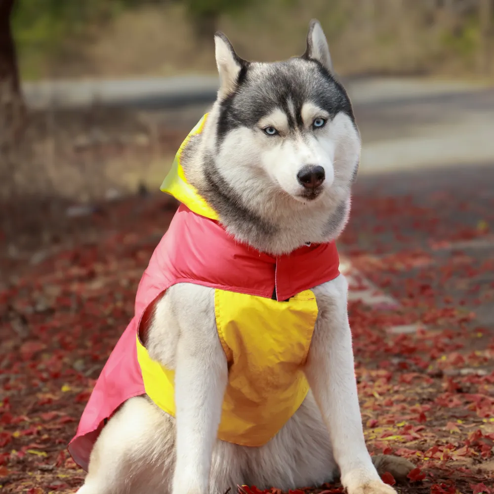 Splash Waterproof Dog Raincoat Red-Yellow