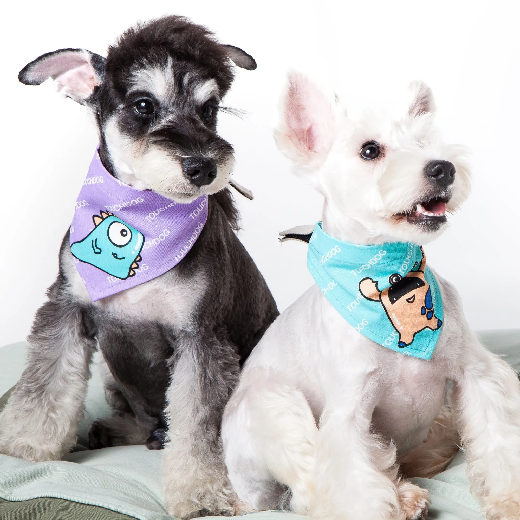 Stylish, Durable Velcro Bandana