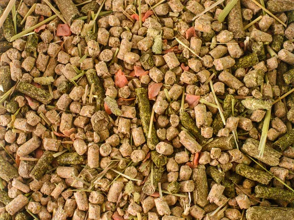 TopFlite Rabbit & Guinea Pig Mix