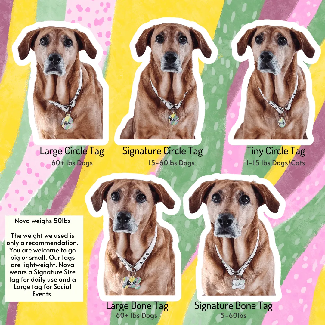 Tri Pink Bone Dog Tag