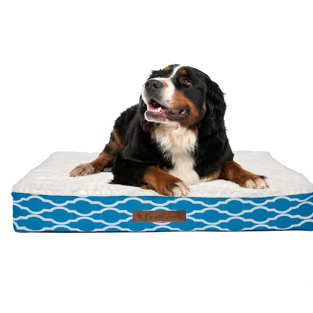 Wags & Whiskers Memory Foam Pet Bed - Assorted Styles