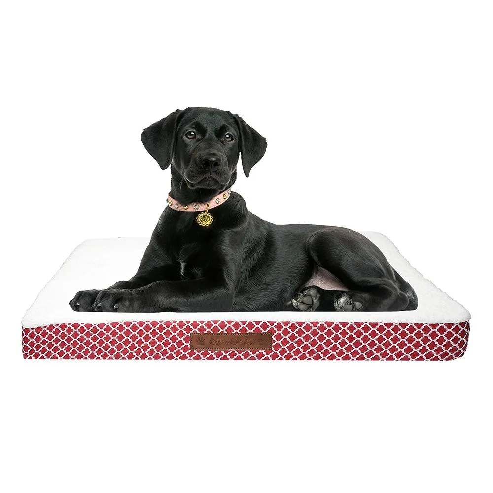 Wags & Whiskers Memory Foam Pet Bed - Assorted Styles